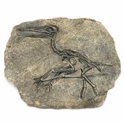 Life Easy Supply Antique Resin Dinosaur Fossil Wall Hanging Decoration Other Products