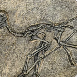 Life Easy Supply Antique Resin Dinosaur Fossil Wall Hanging Decoration Other Products