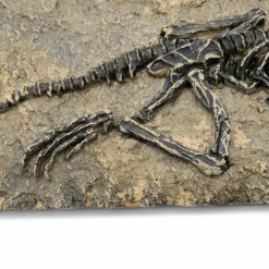 Life Easy Supply Antique Resin Dinosaur Fossil Wall Hanging Decoration Other Products