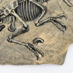 Life Easy Supply Antique Resin Dinosaur Fossil Wall Hanging Decoration Other Products