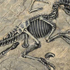 Life Easy Supply Antique Resin Dinosaur Fossil Wall Hanging Decoration Other Products